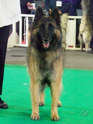 n°98 Gaia of the smart spirit 5439.JPG